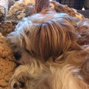 Meet your Posher, Arthur